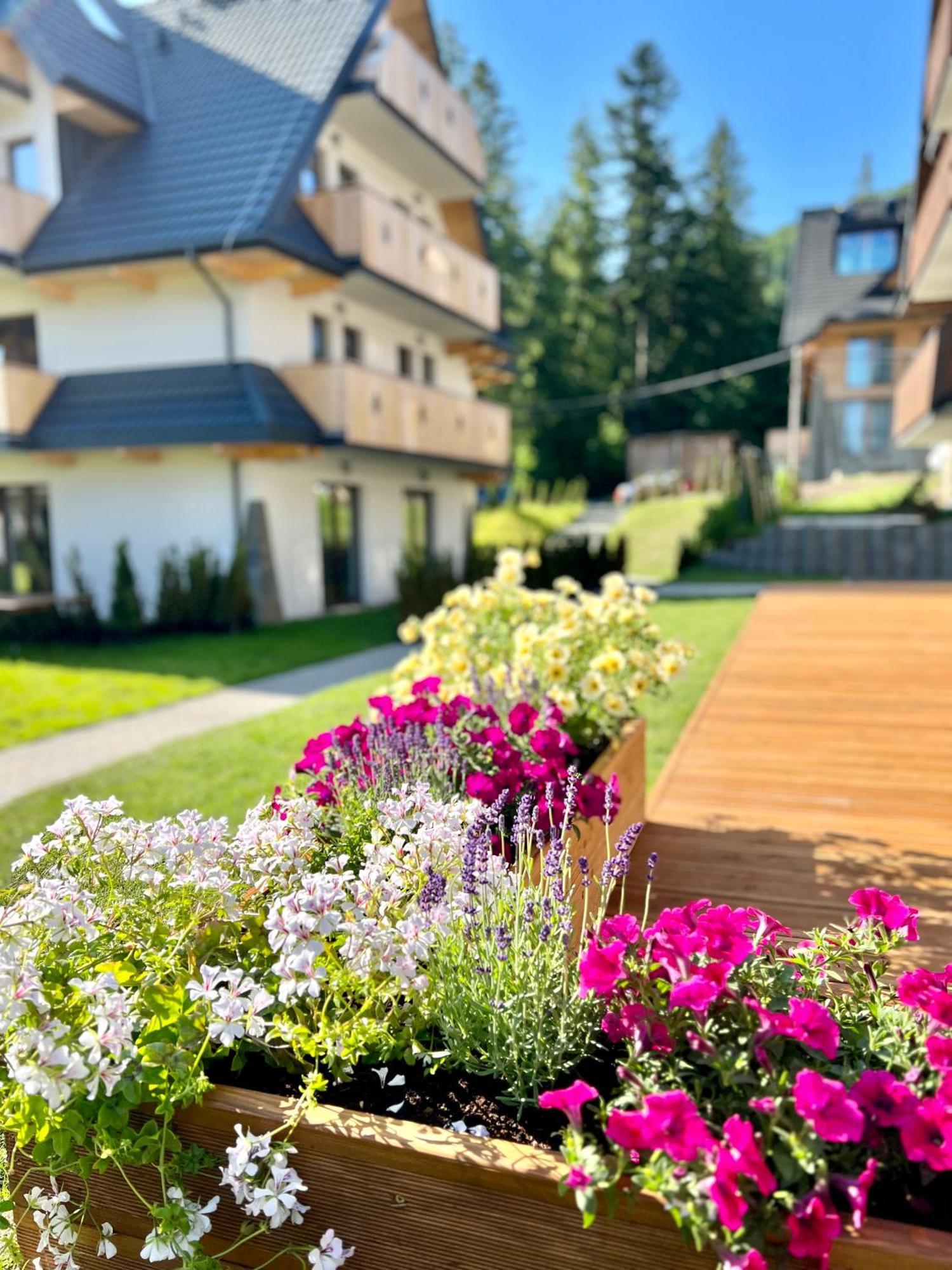 Nosal & Wine * Zakopane