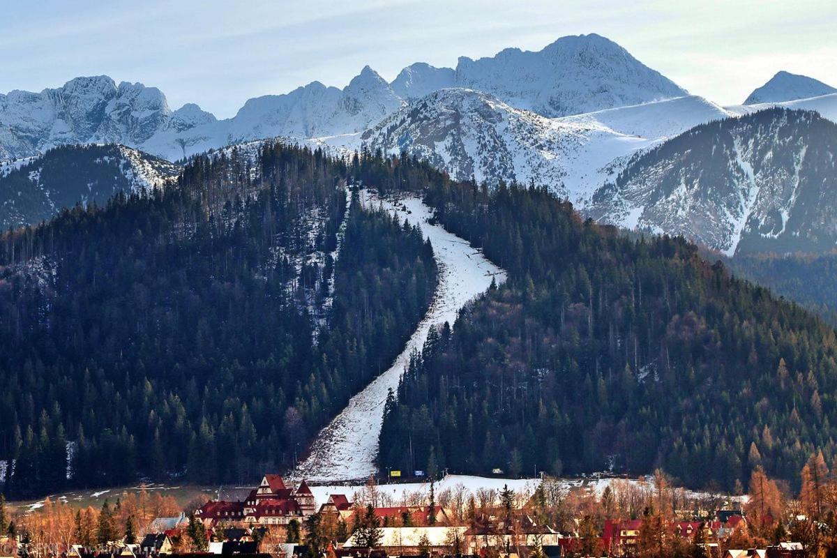 Nosal & Wine Hotel apartamentowy Zakopane